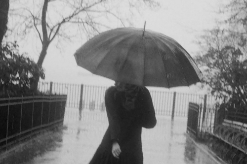 NOAH 即将发布首个女装系列