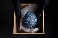 11 位艺术家玩转足球，为 IMAZ 慈善拍卖注入新想像