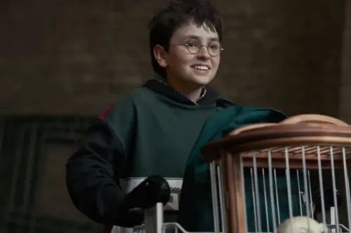 HBO 宣布续订《Harry Potter》影集第 2 季，直击《The Chamber of Secrets》