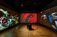 Onassis ONX 全新展览「TECHNE: Homecoming」：以家庭为本的沉浸体验