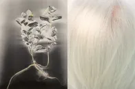 世界历史最悠久的摄影展重返伦敦 Saatchi Gallery