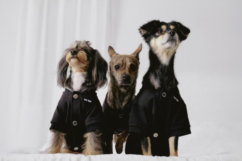 TEAM WANG design 发布 THE ORIGINAL 1 全新生活方式子系列「FRIENDS」