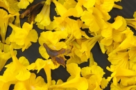 第15届上海双年展2025参展艺术家完整名单