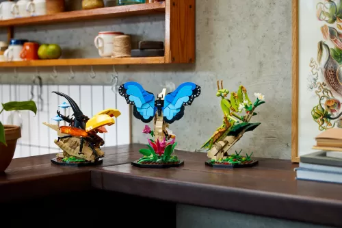 LEGO Ideas 推出全新昆虫主题系列