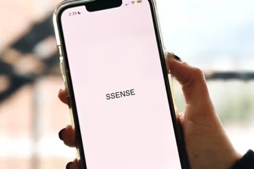 SSENSE 创办家族成功夺标,稳守公司控制权