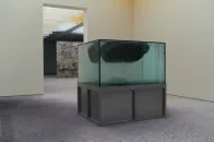 Pierre Huyghe 把 Fondation Beyeler 变成他的怪物迷宫