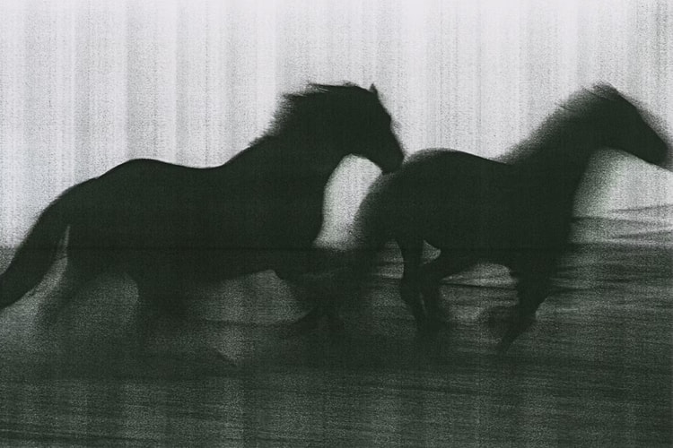 《Hard Copy》展览向低调的影印机致敬,还它一个公道