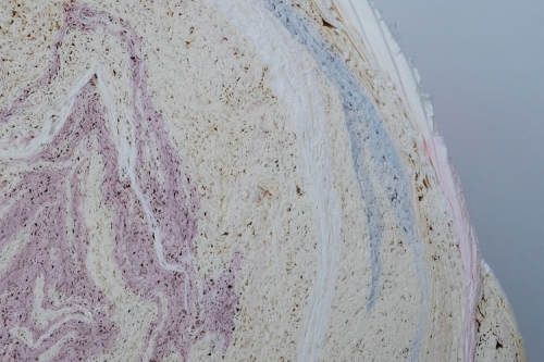 Issey Miyake 联同 Ensamble Studio 呈献「The Paper Log：Shell and Core」装置展