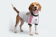 adidas Originals 推出 UEFA Champions League 狗狗足球球衣