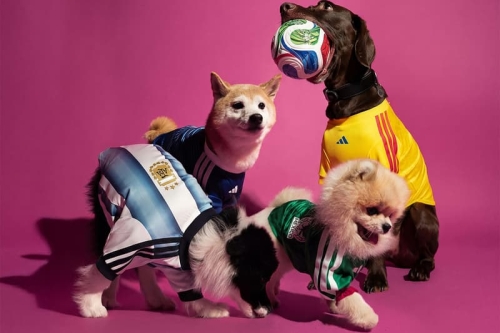 adidas 推出 2026 世界杯「宠物应援」系列