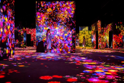 teamLab 最新旧金山 Asian Art 美术馆大型个展即将开催