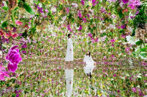 teamLab 全新「Garden Area」永久装置艺术作品正式开催