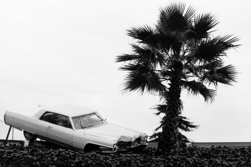 Hammer Museum 艺术双年展《Made in L.A. 2025》：聚焦华丽的不对称
