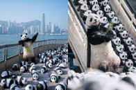 全港最大型熊猫主题展《PANDA GO！香港游》 首站正式开催