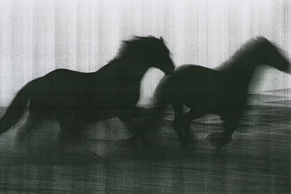 《Hard Copy》展览向低调的影印机致敬，还它一个公道