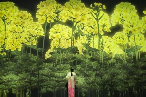 率先走进 teamLab 全新艺展《FUTURE WORLD: Where Art Meets Science》